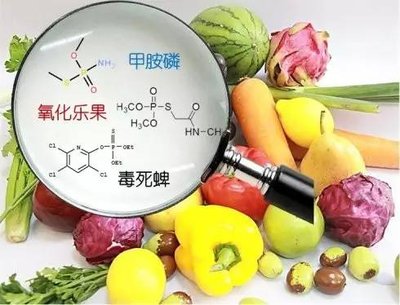 食品安全绿巨人免费观看在线直播要及时食品安全绿巨人免费观看在线直播仪要准确